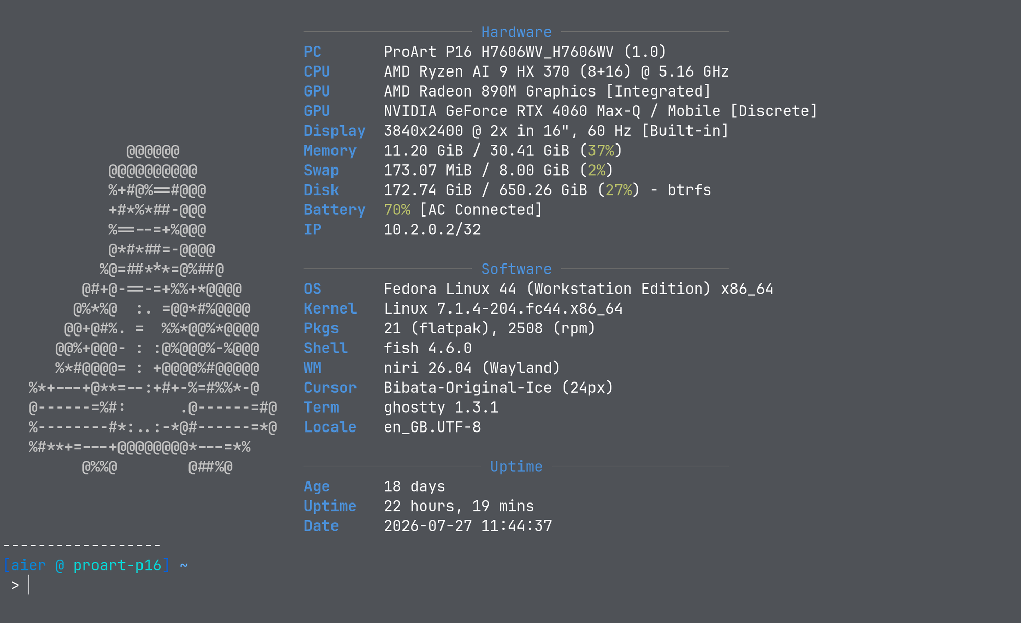 Terminal preview